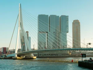 Raadslid Leefbaar Rotterdam uit partij gezet door bewerkte foto
