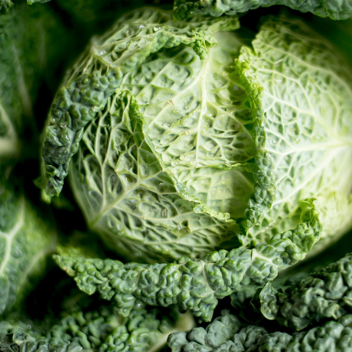 Dit zijn de seizoensgroenten van april - en waarom ze zo gezond zijn