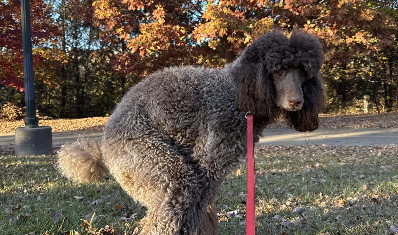 Ontlasting poep ophouden gevolgen