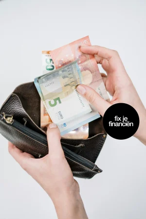 Status loonkloof in Nederland