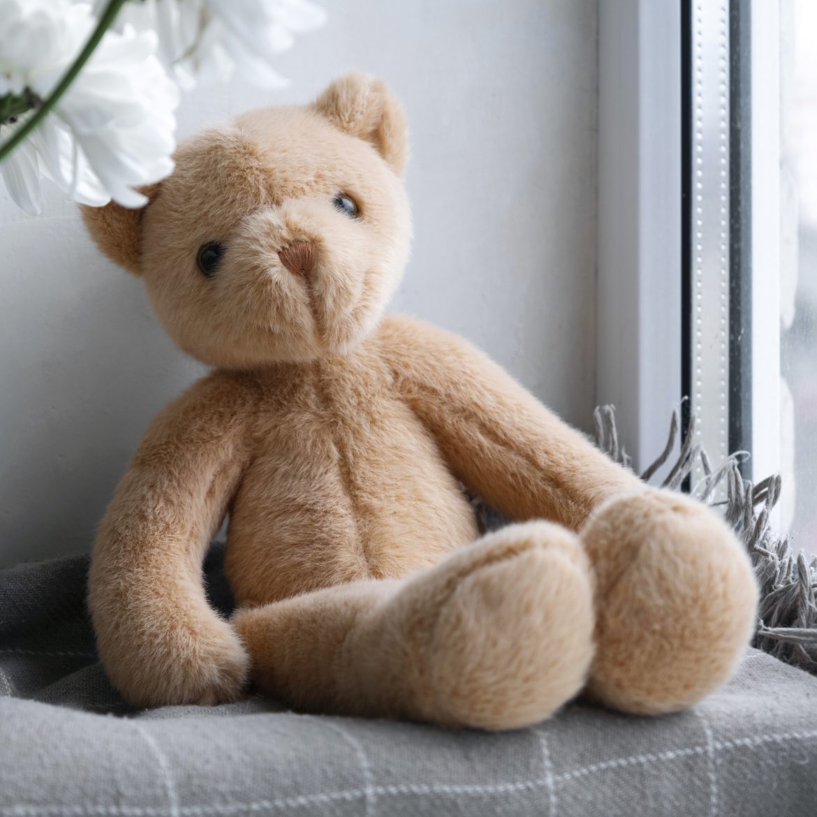 Deze teddybeer had wel héél veel vulling: 50.000 euro cash
