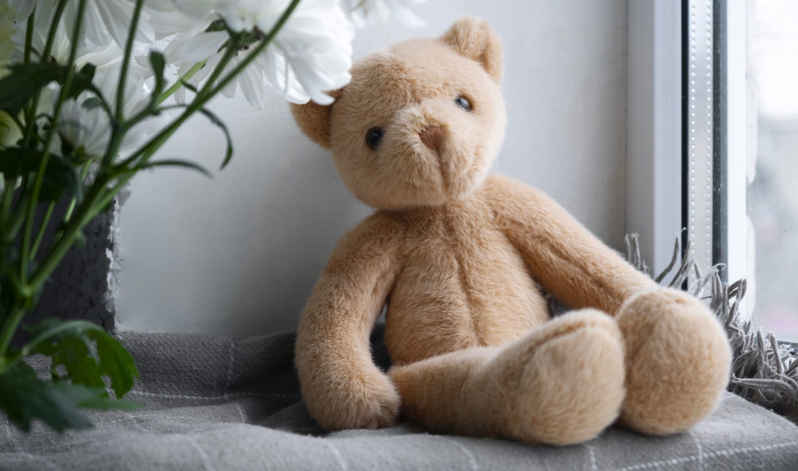 Deze teddybeer had wel héél veel vulling: 50.000 euro cash
