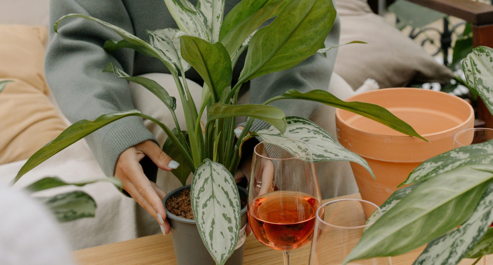 Geef je huis, tuin en balkon een instant glow-up voor de lente met deze 5 essentials