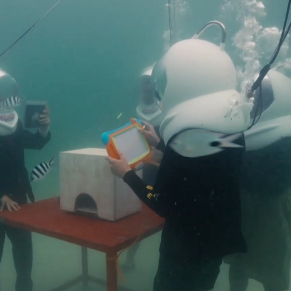 Daan, Milan, Quinty en Rik staan op de bodem van de zee in 'Wie is de Mol?'