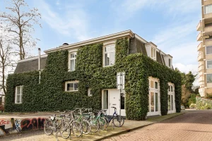 Thumbnail voor Wonen in een voormalig koetshuis en punkpodium? In deze stad kan het