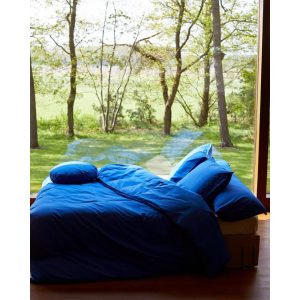 kleur interieur trend