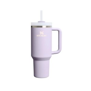 stanley fles