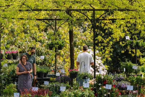 De plantenmarkt in trompenburg, een van onze uitjes voor mei