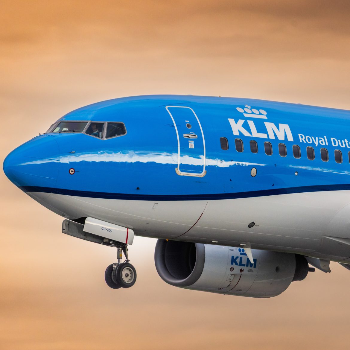 KLM-stewardess test negatief op hantavirus