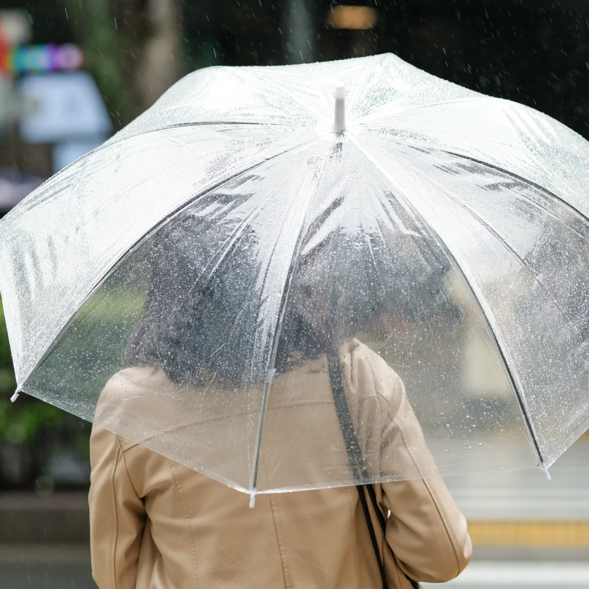 Weersvoorspelling Hemelvaartsdag vrouw met paraplu