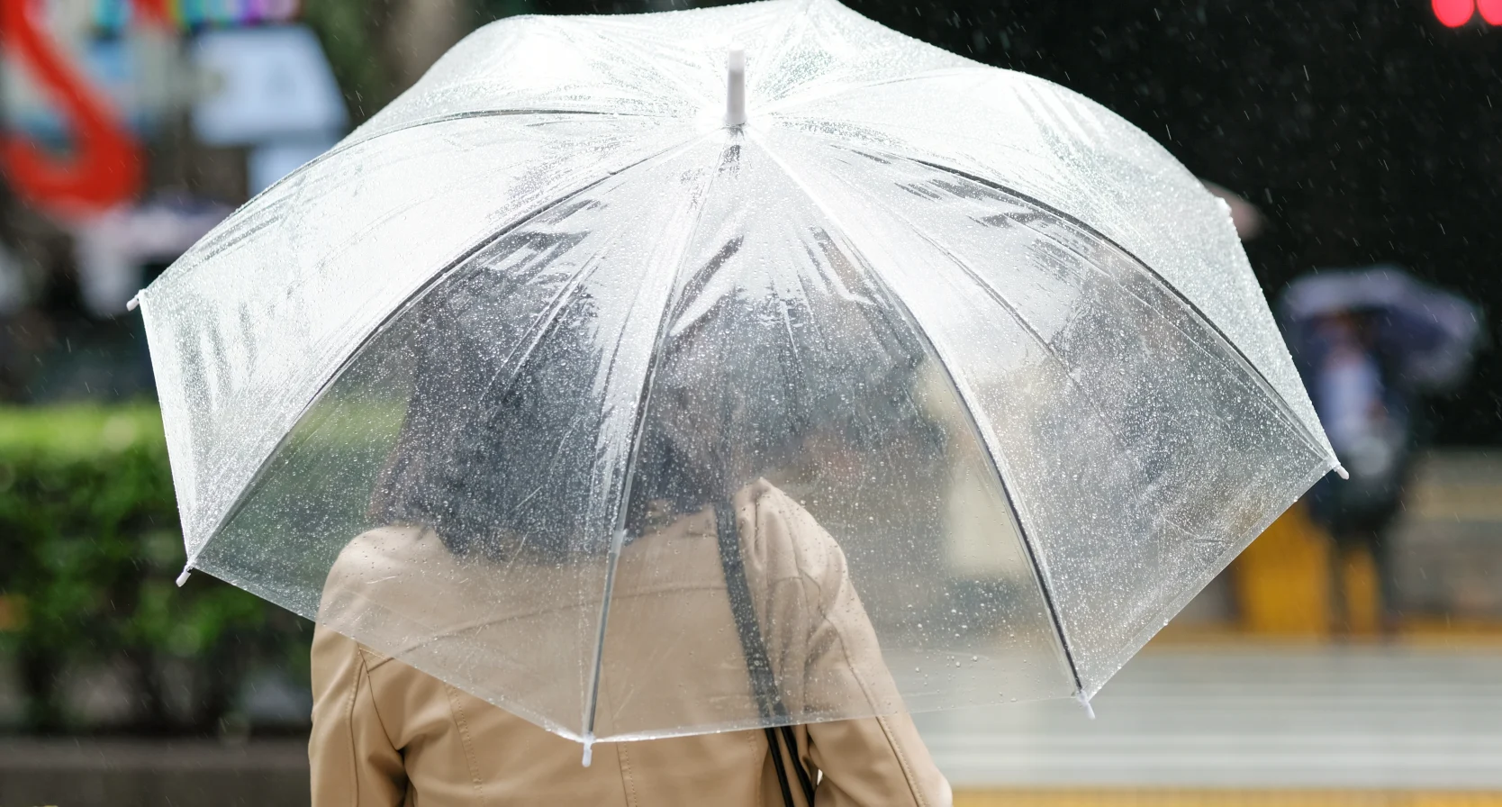 Weersvoorspelling Hemelvaartsdag vrouw met paraplu