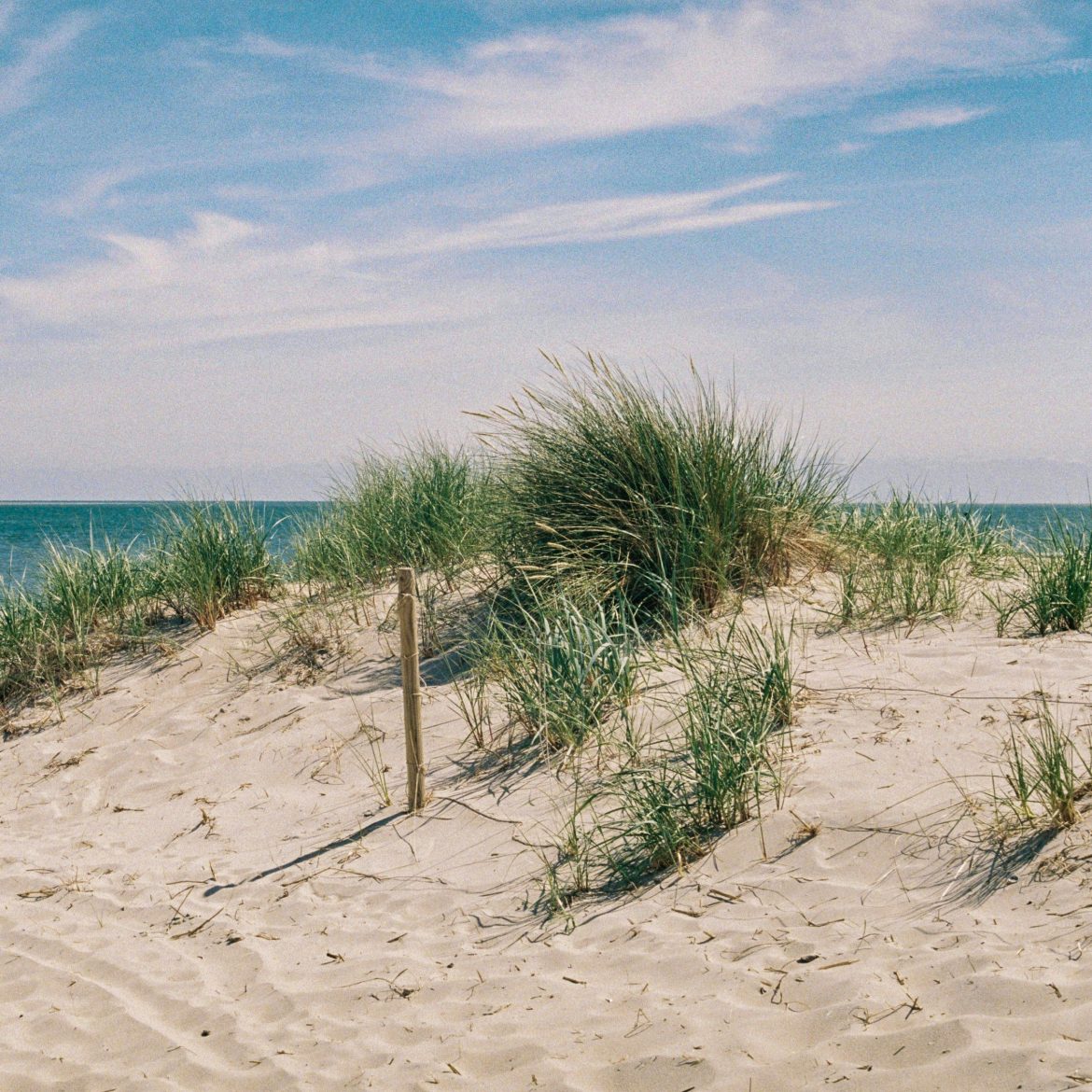 Strand Texel