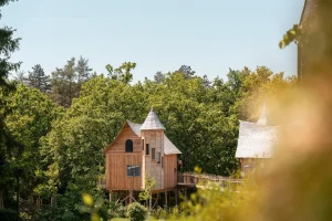 boomhut huisjes ardennen