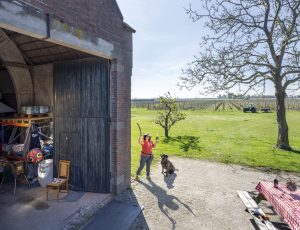 Thumbnail voor Sofie (58) is wijnboerin: 'Veel Nederlanders associëren wijn uit eigen land met duur en niet lekker. Onzin'