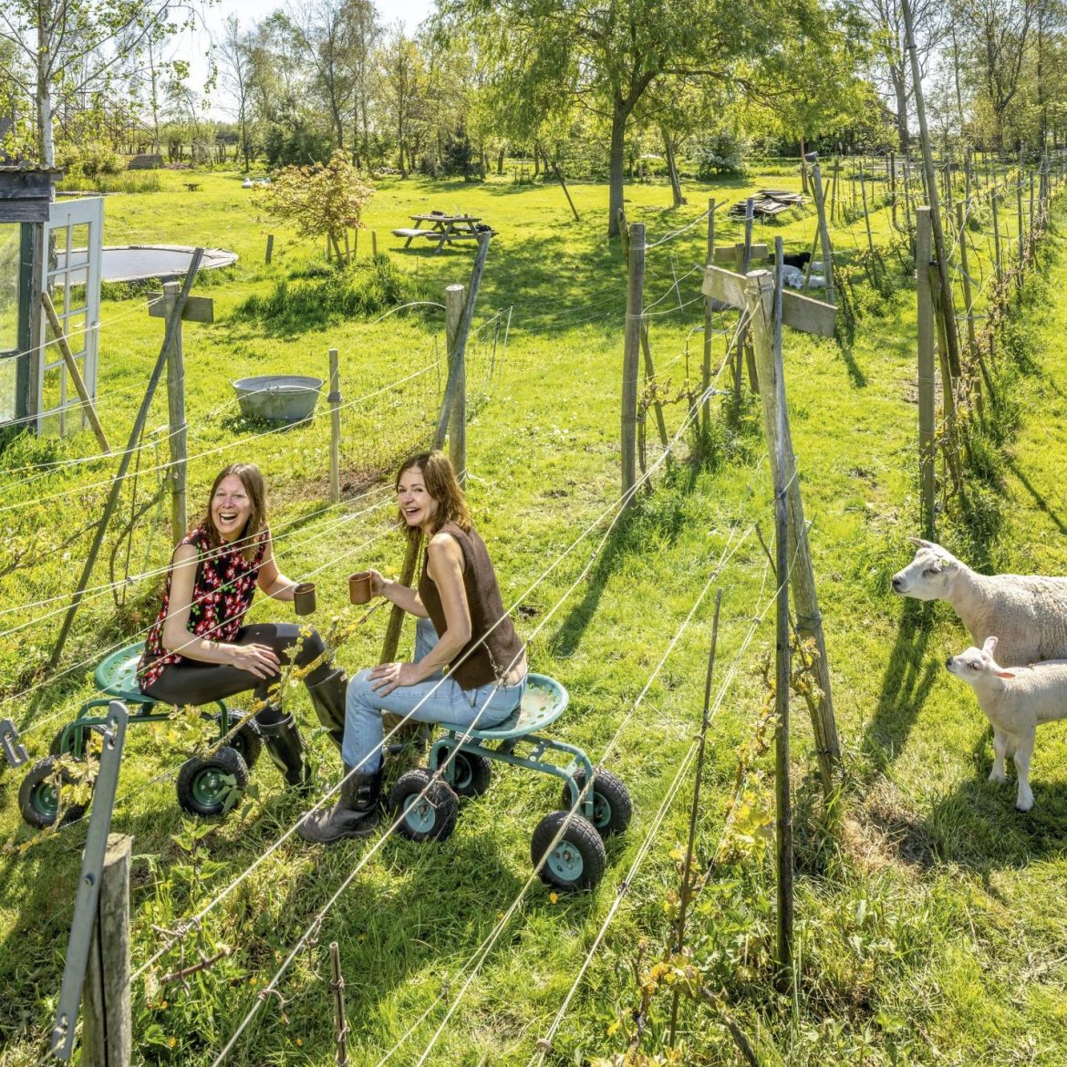 Sally en Trees op hun wijngaard
