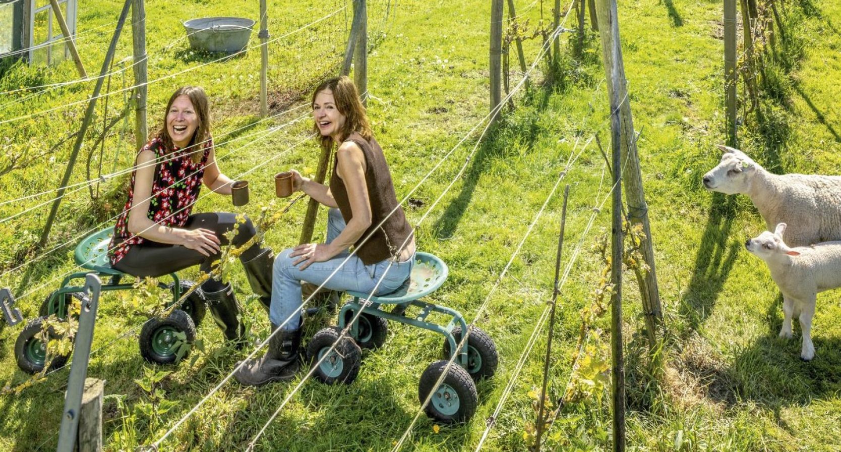 Sally en Trees op hun wijngaard