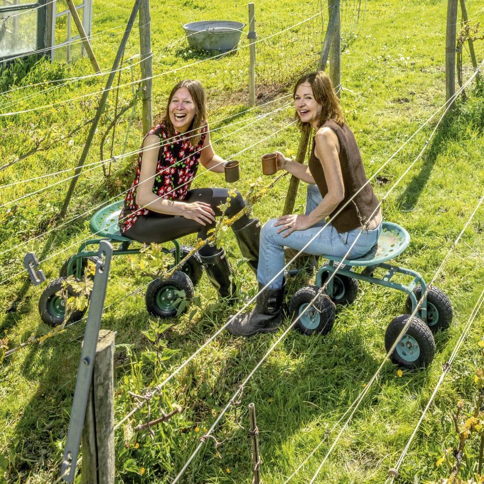 Wijnboerinnen Sally (52) en Trees (46): 'Het heeft iets therapeutisch om met je handen in de natuur te werken'