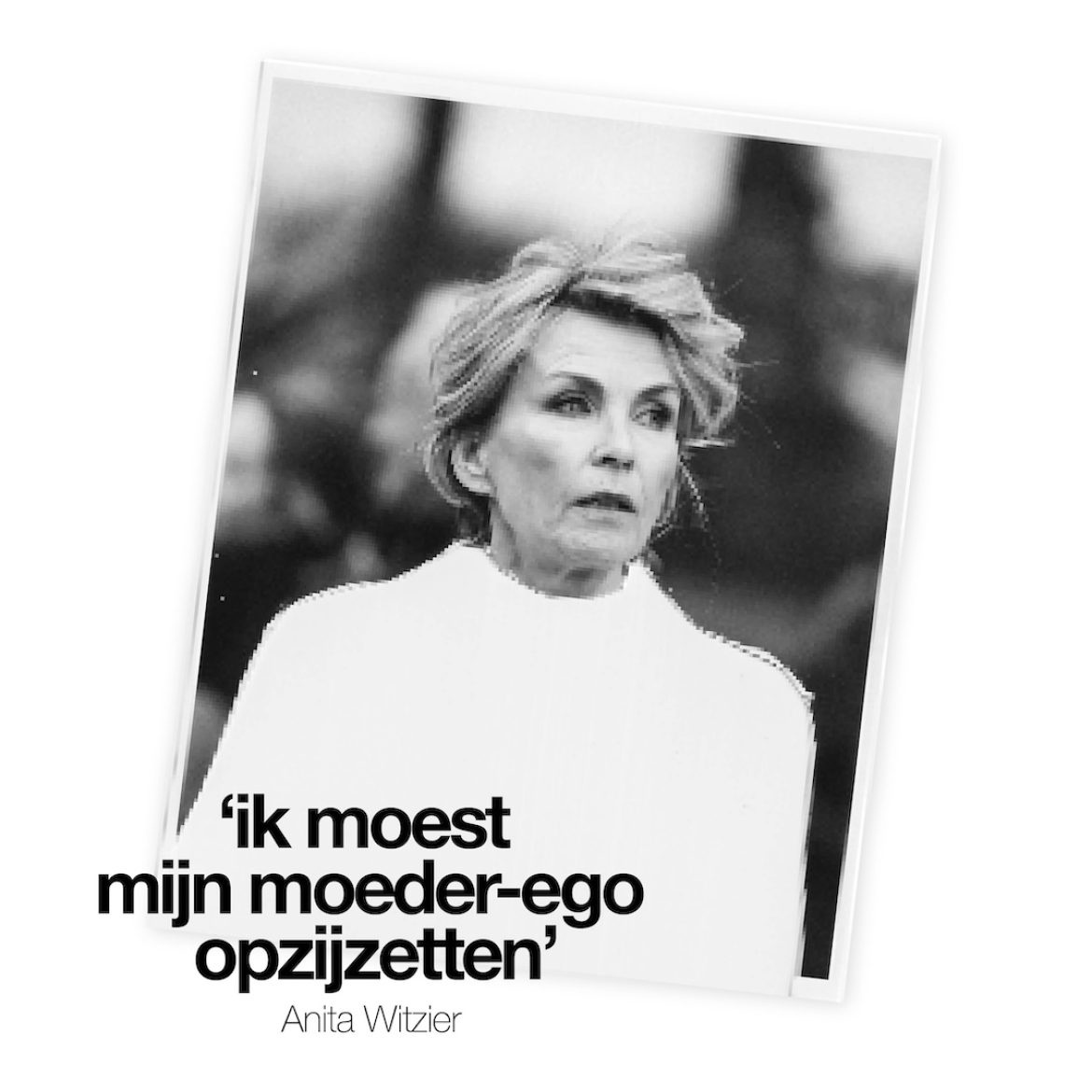 het lege nest anita witzier