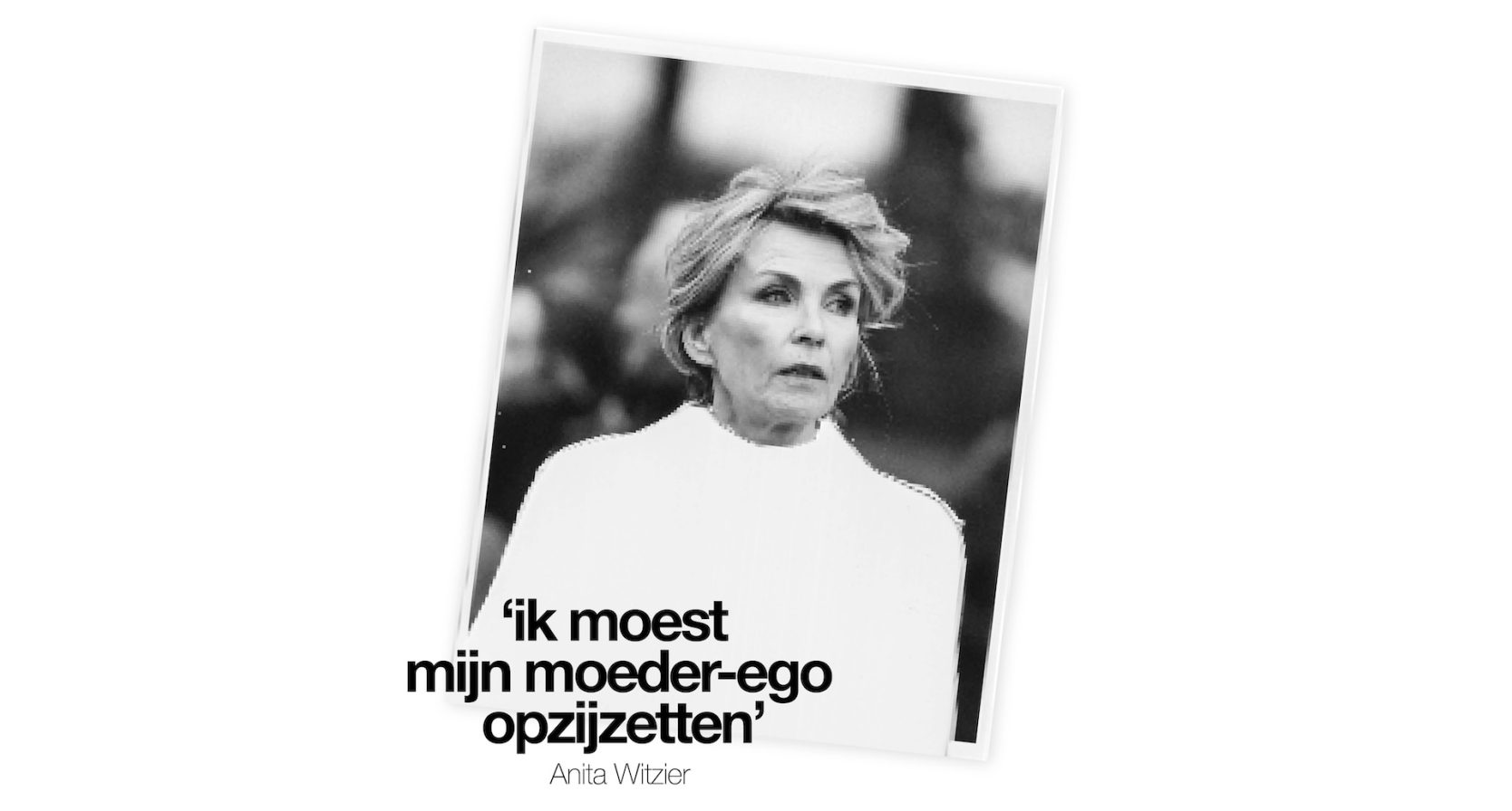 het lege nest anita witzier
