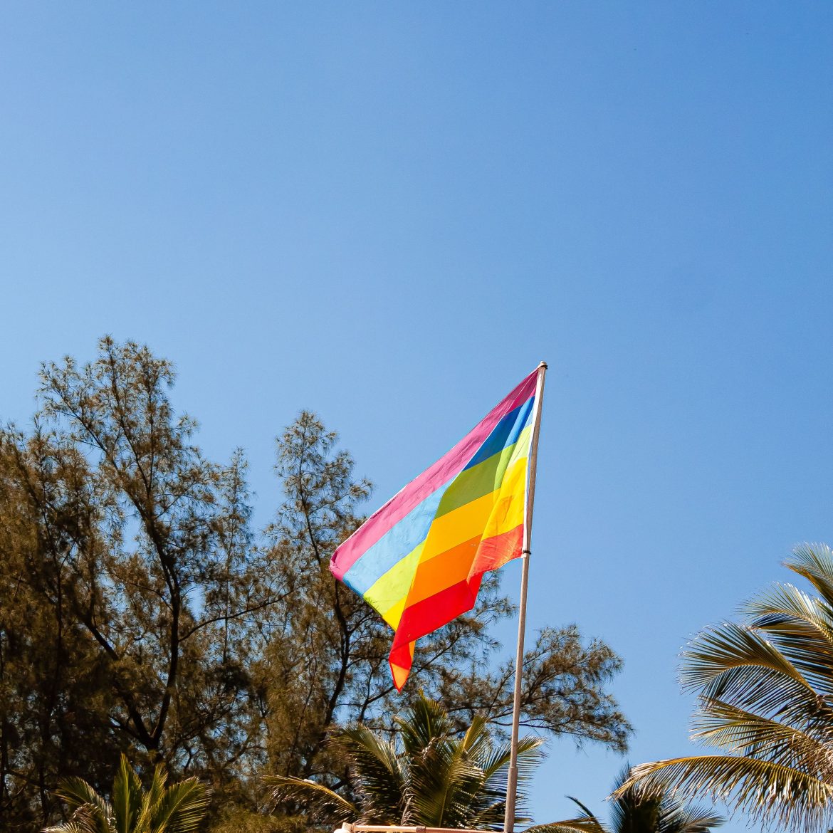 pride, lhbtq+ vlag zomer