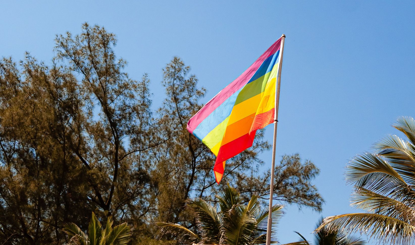 pride, lhbtq+ vlag zomer