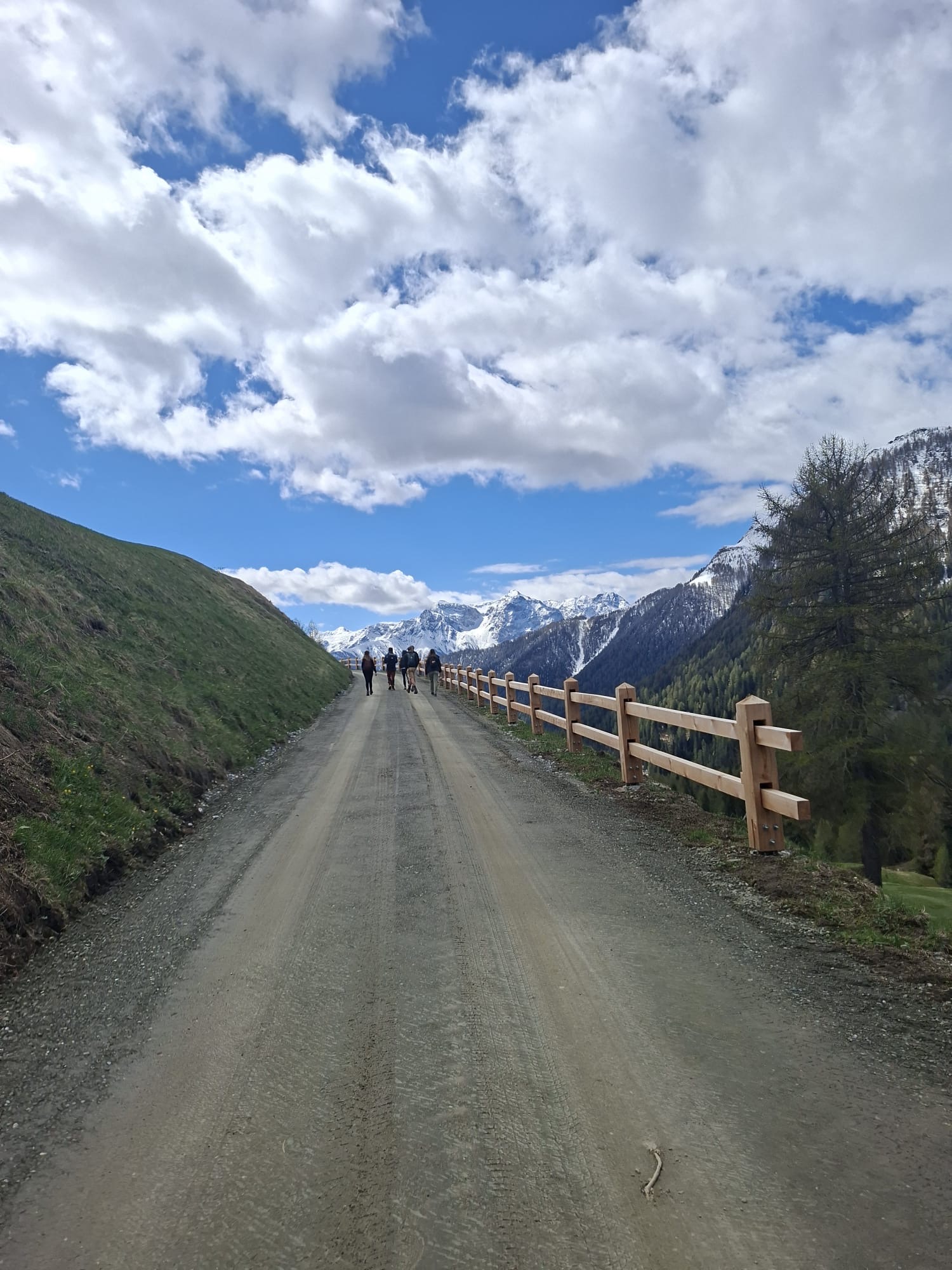 Roos organiseert hike-reizen