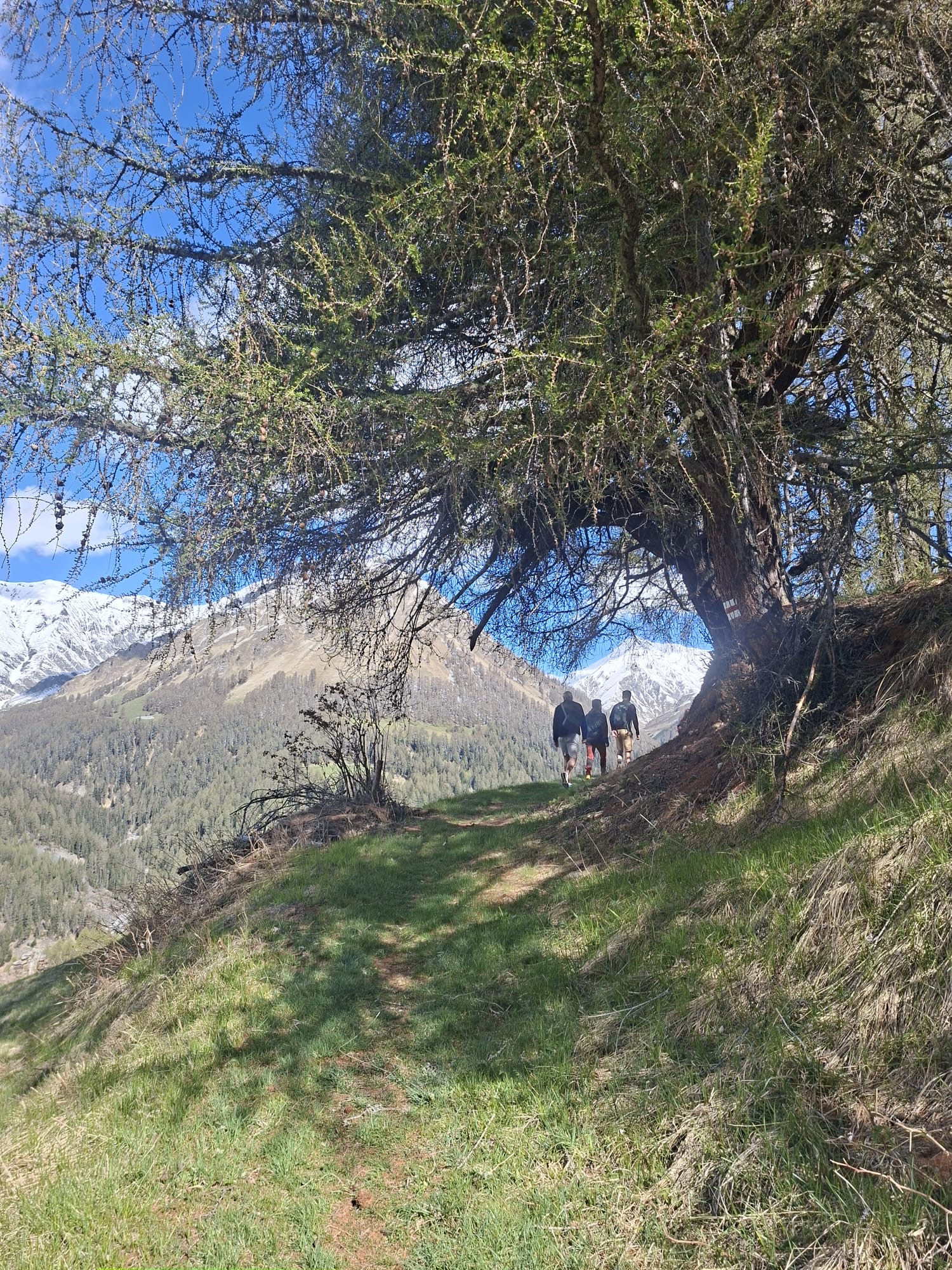 Roos organiseert hike-reizen