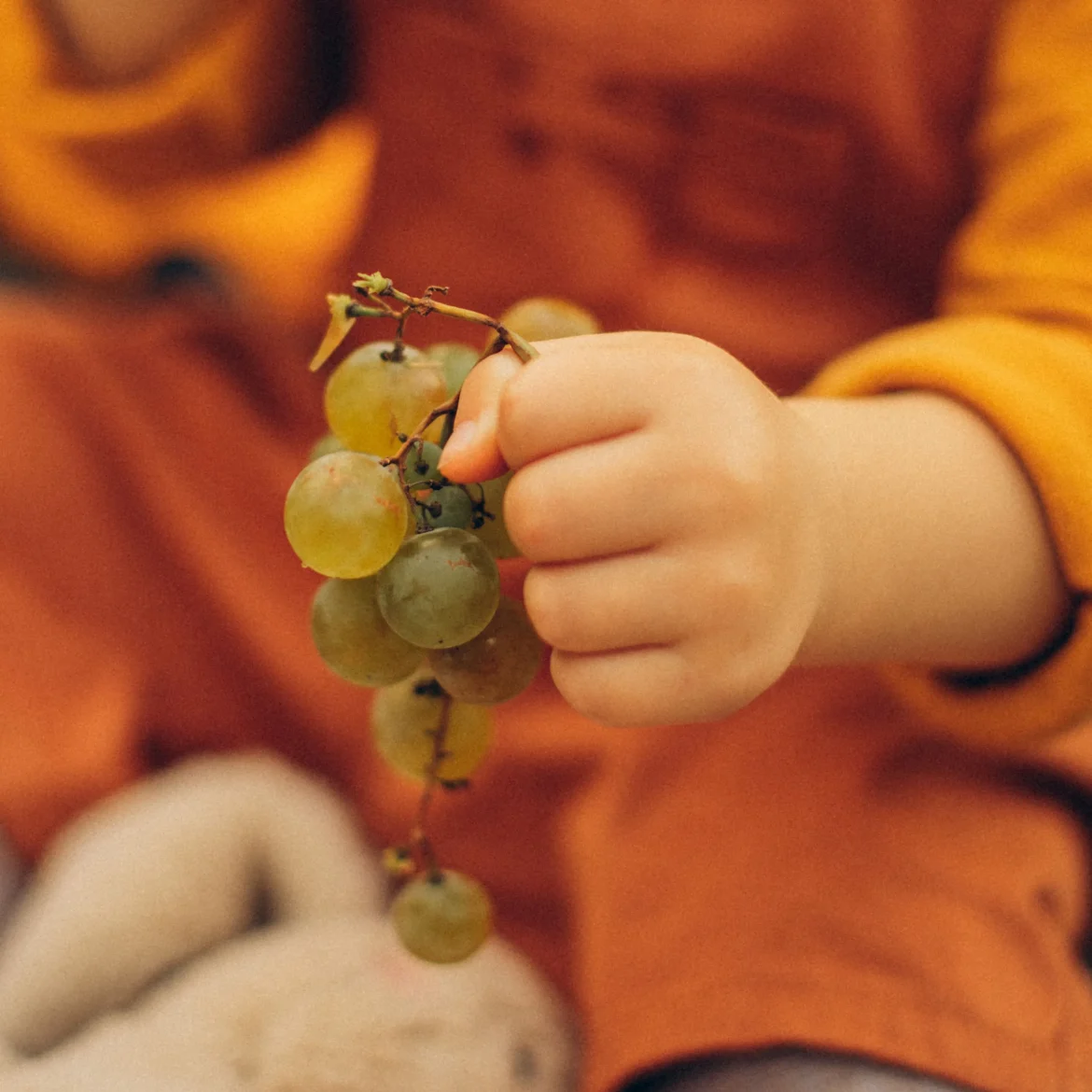 Druiven voor kinderen