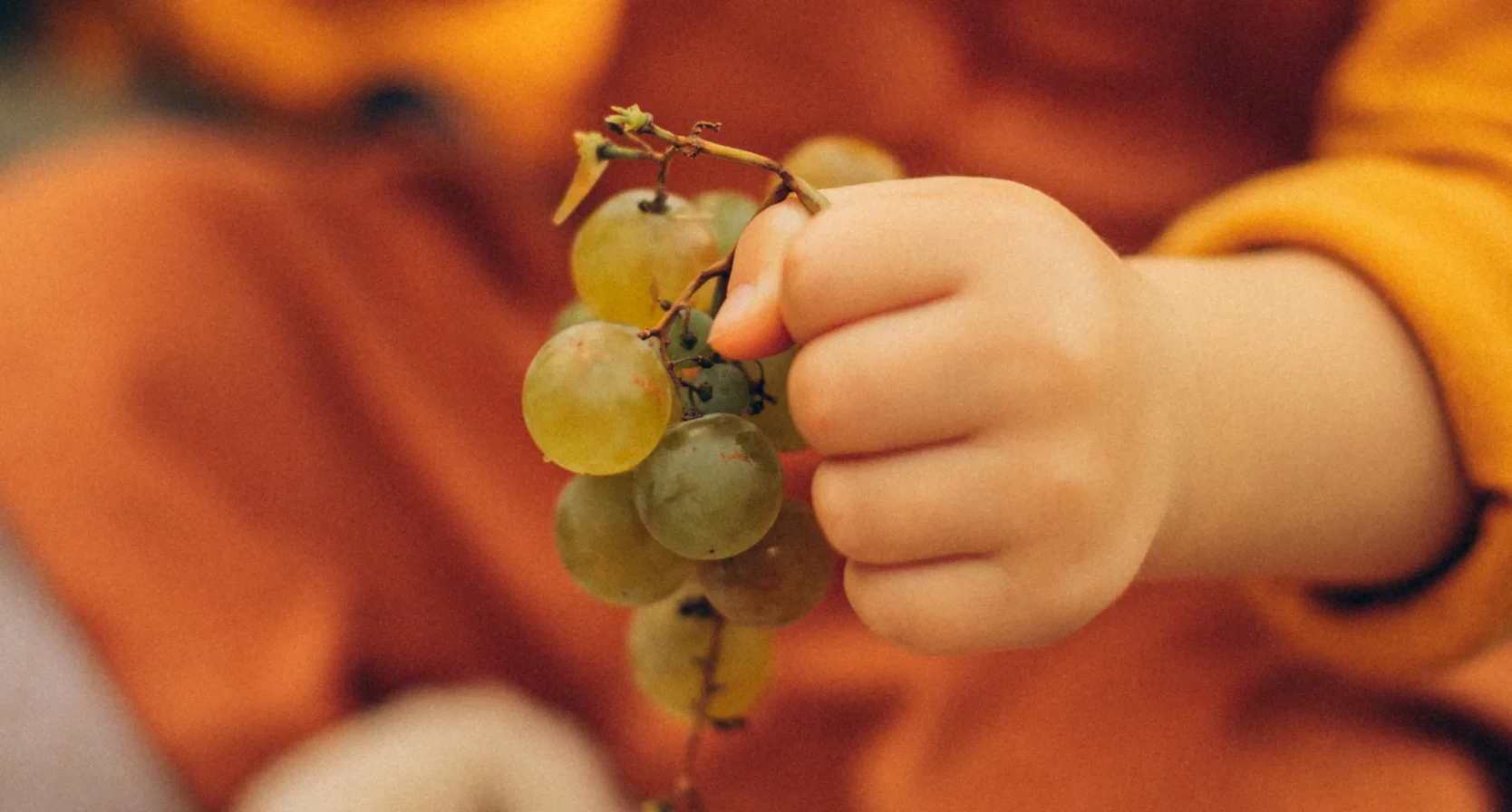 Druiven voor kinderen