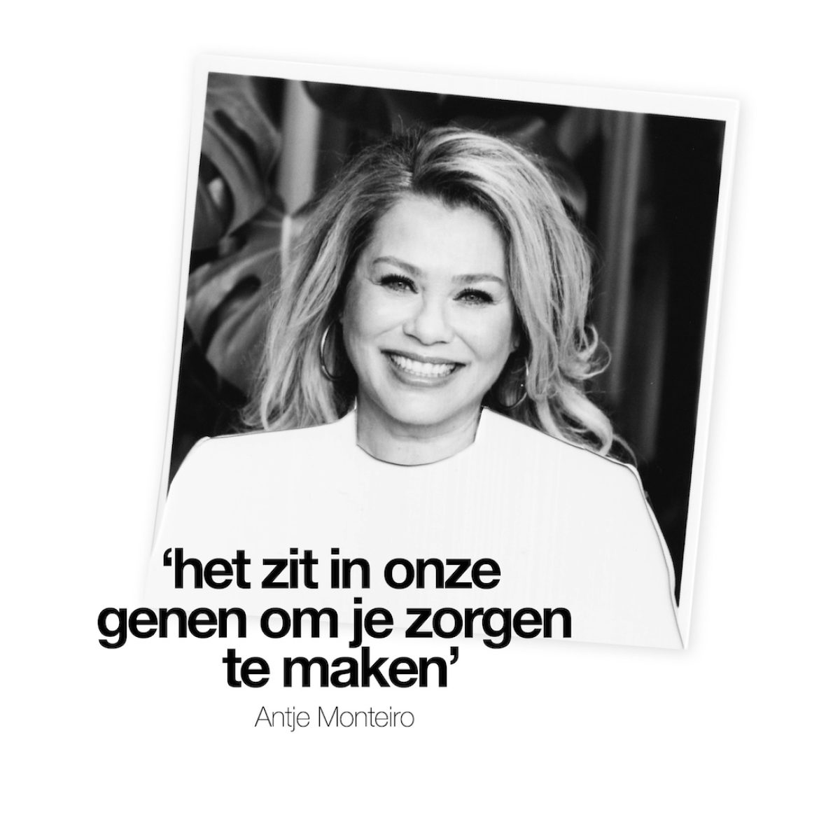 antje monteiro lege nest