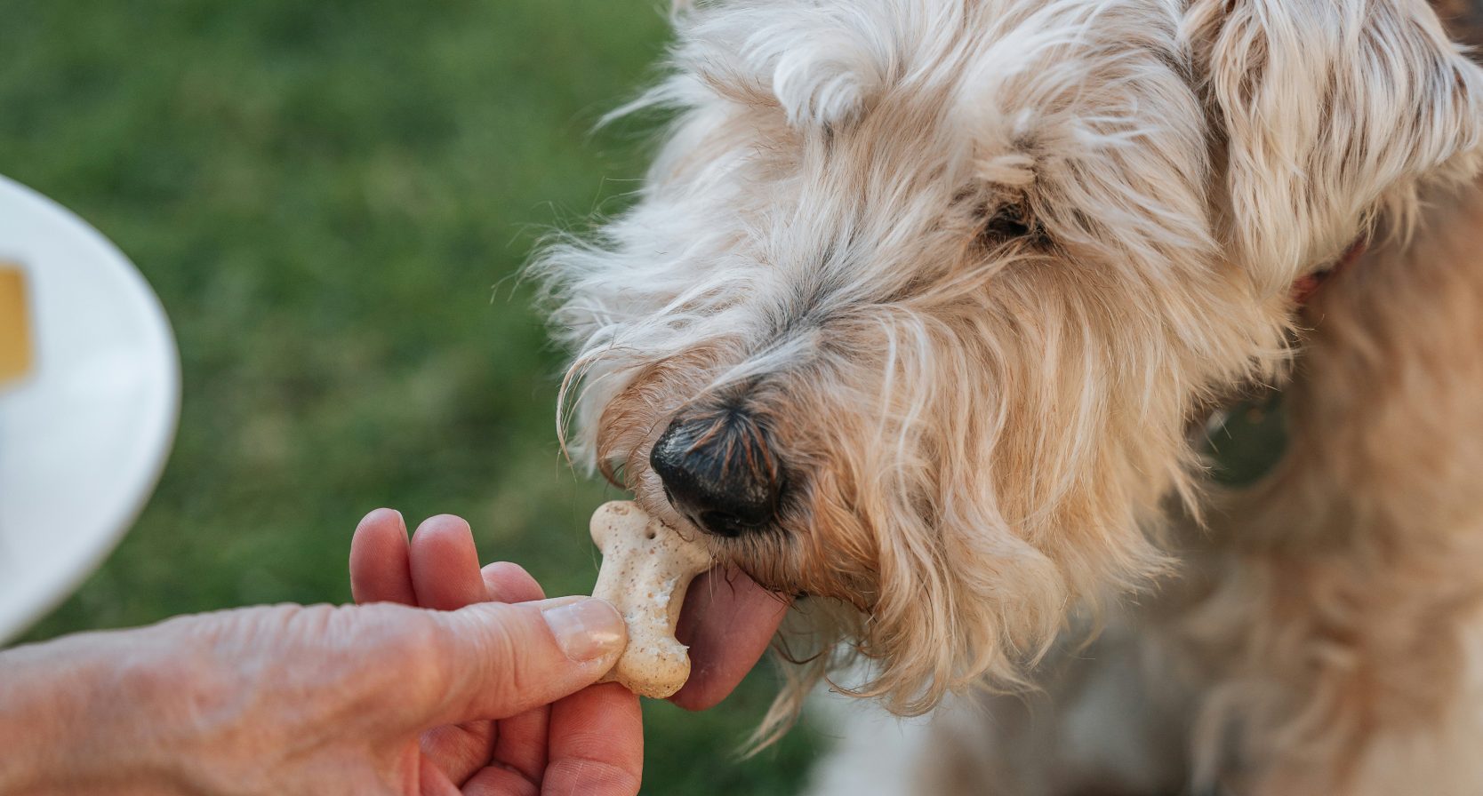 Supermarkten waarschuwen voor mogelijk plastic in dierenvoeding