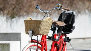 Thumbnail voor Feit of fabel? 'Als je kind kan zitten, mag-ie mee op de fiets'