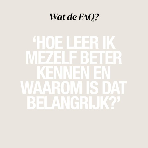 Magazine