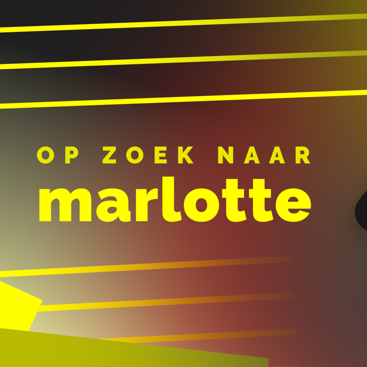 op zoek naar marlotte, het vervolg