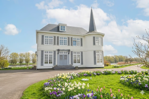 Thumbnail voor Wonen in een sprookjeskasteel? In dit Zuid-Hollandse dorp kan het