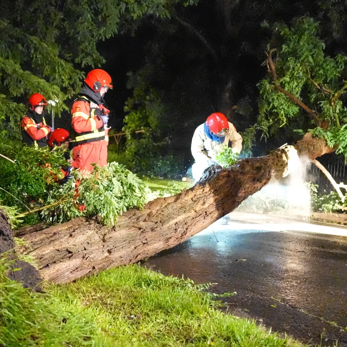 Stormschade
