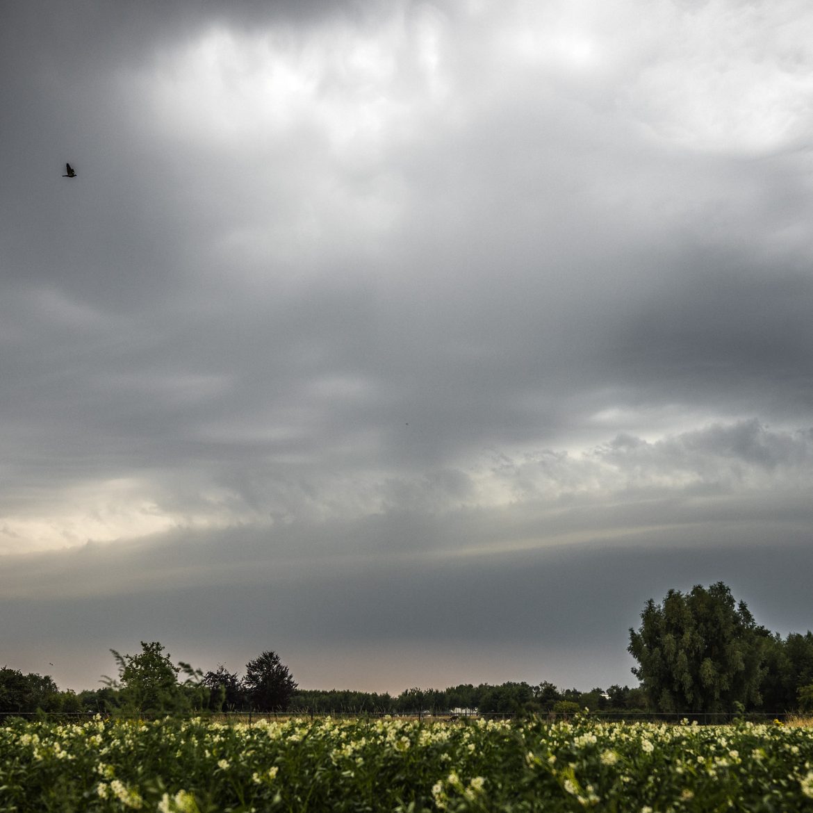 onweer | code geel
