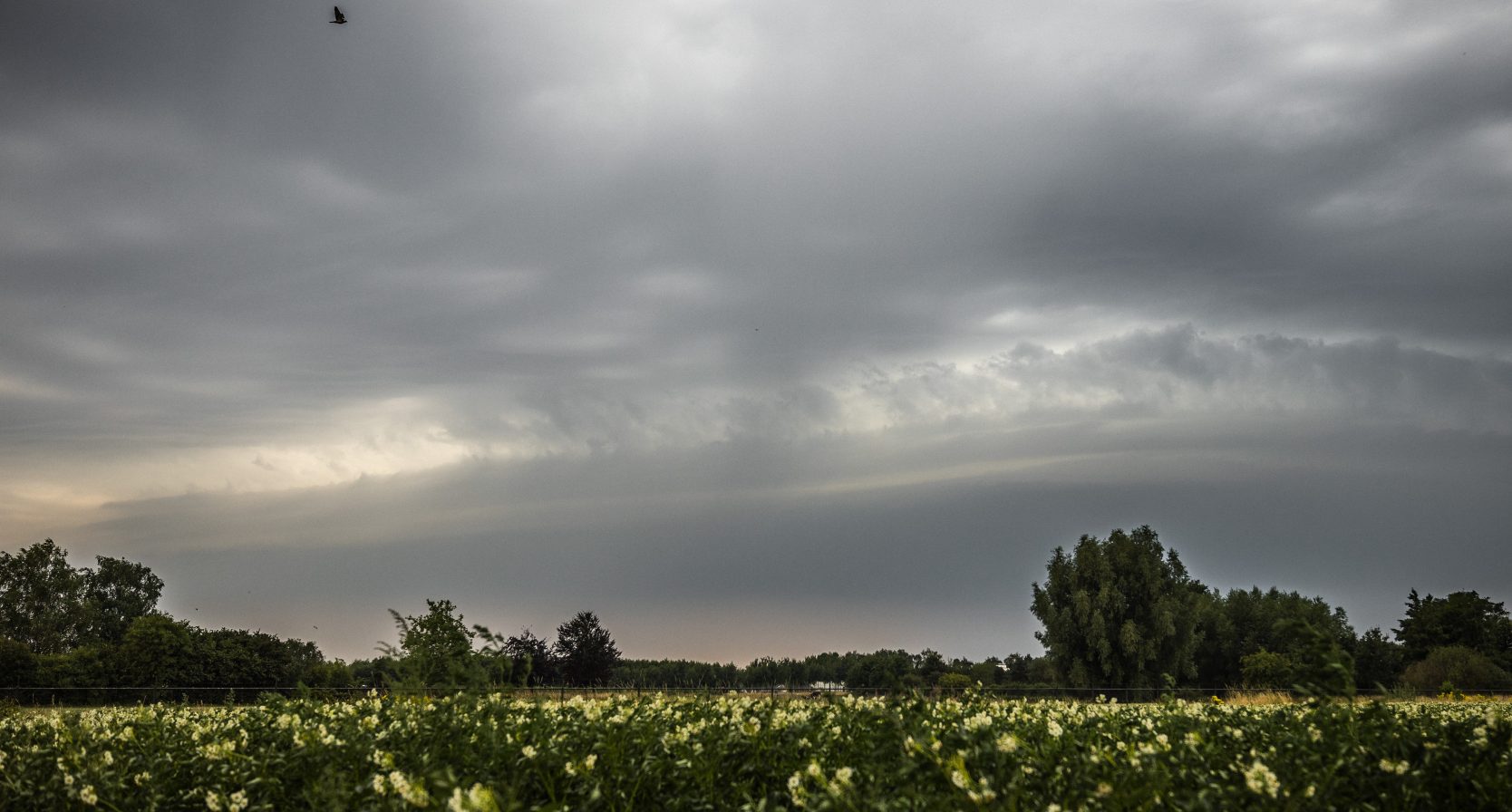 onweer | code geel