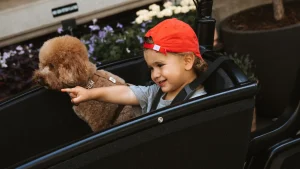 elektrische, bakfiets