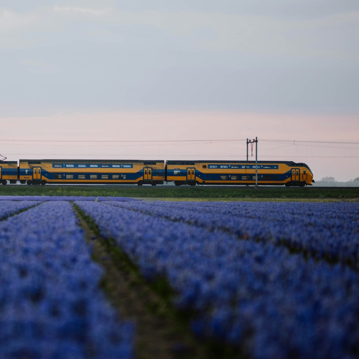 Vakantie trein