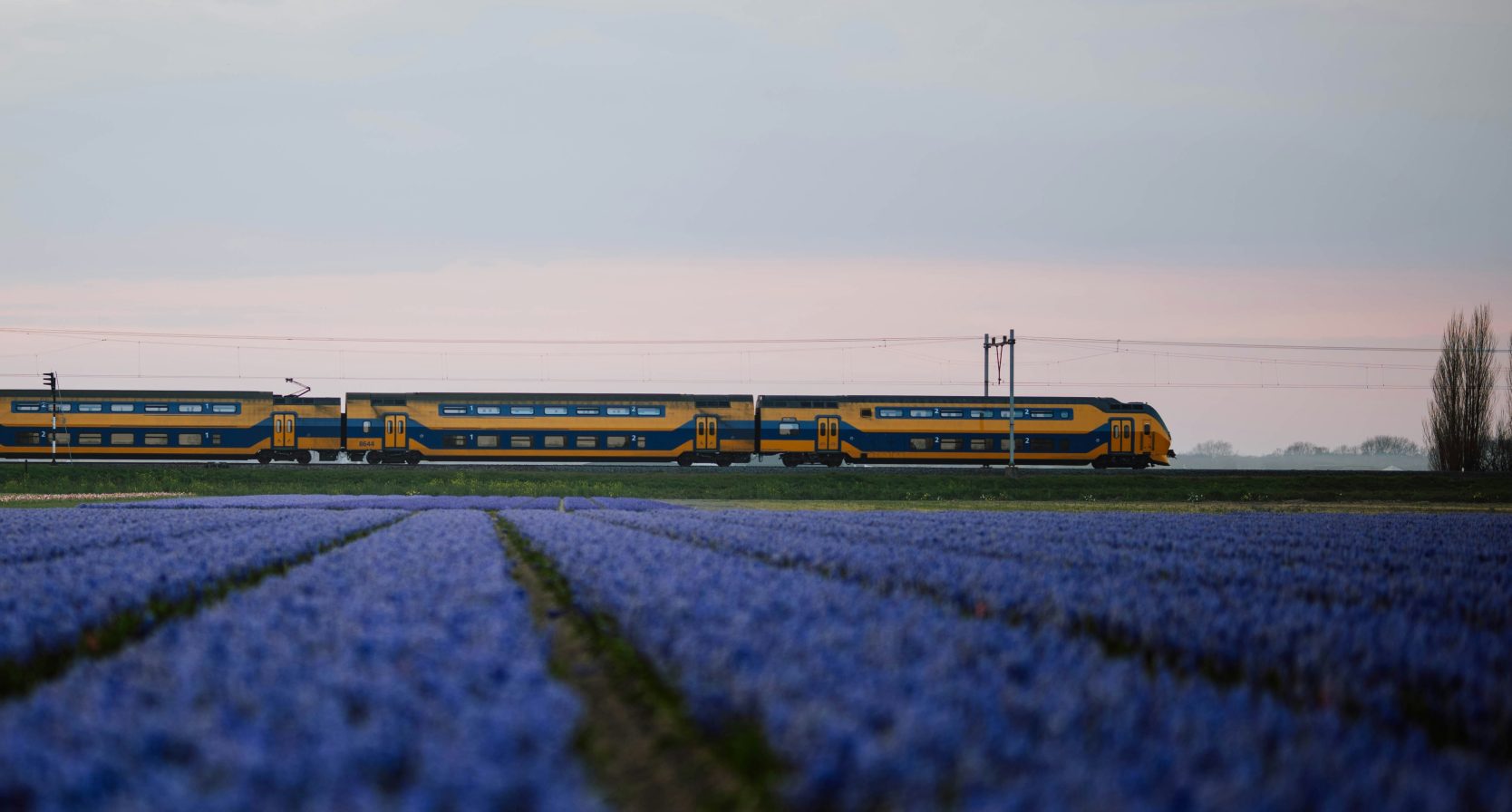 Vakantie trein