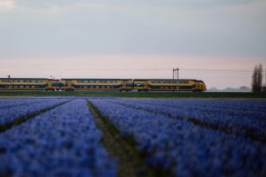 Vakantie trein