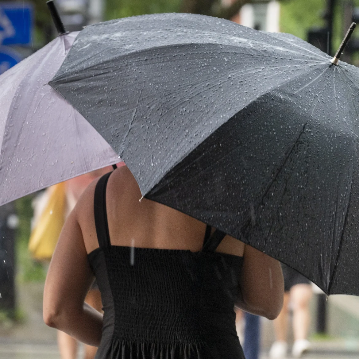 regenbuien
