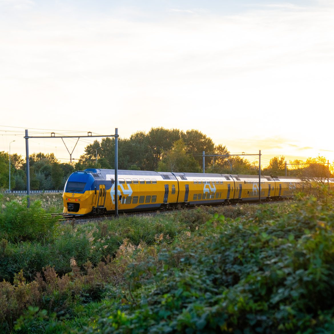 NS dalvrij