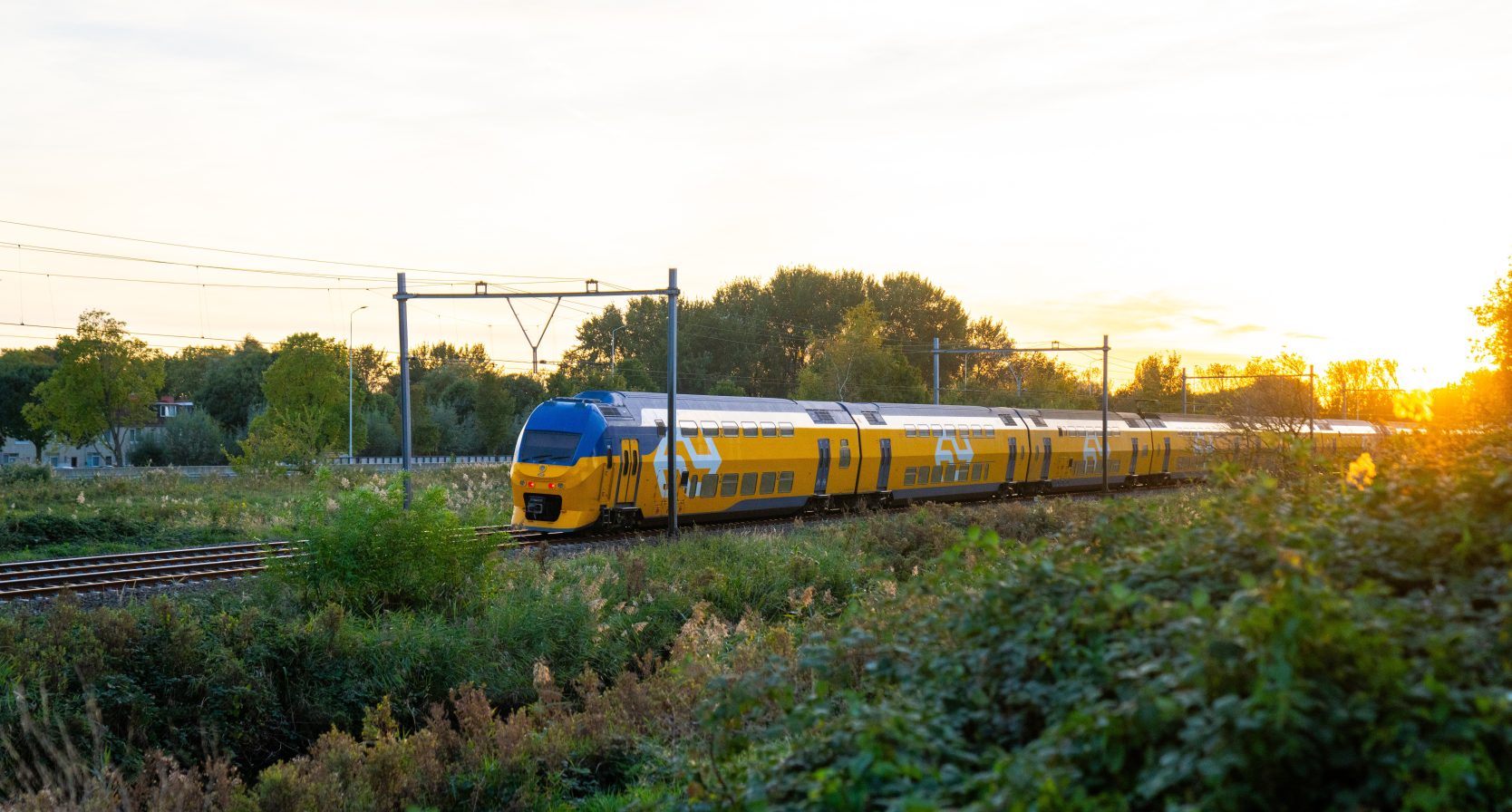 NS dalvrij