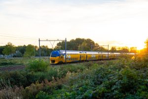 NS dalvrij