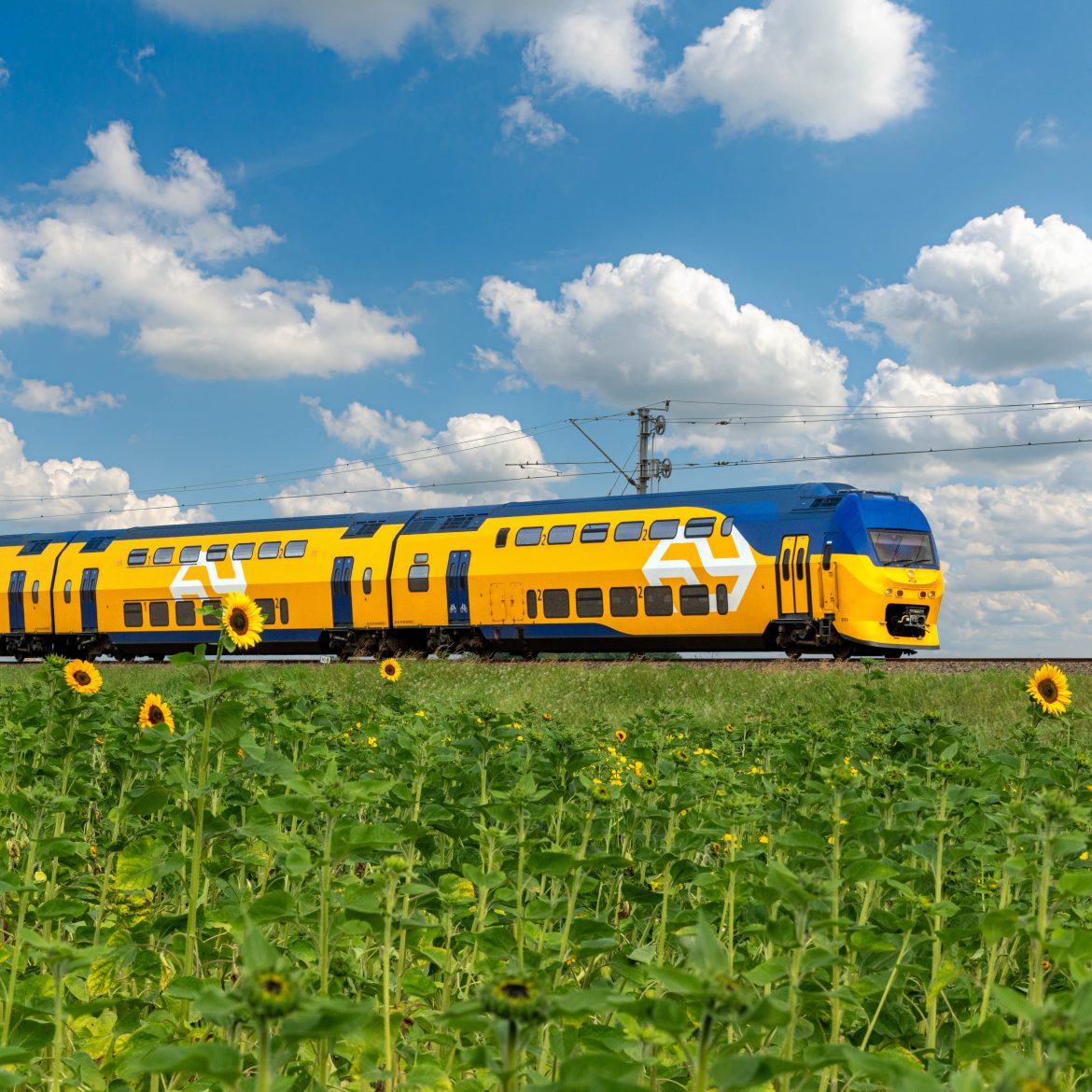 NS dalvrij