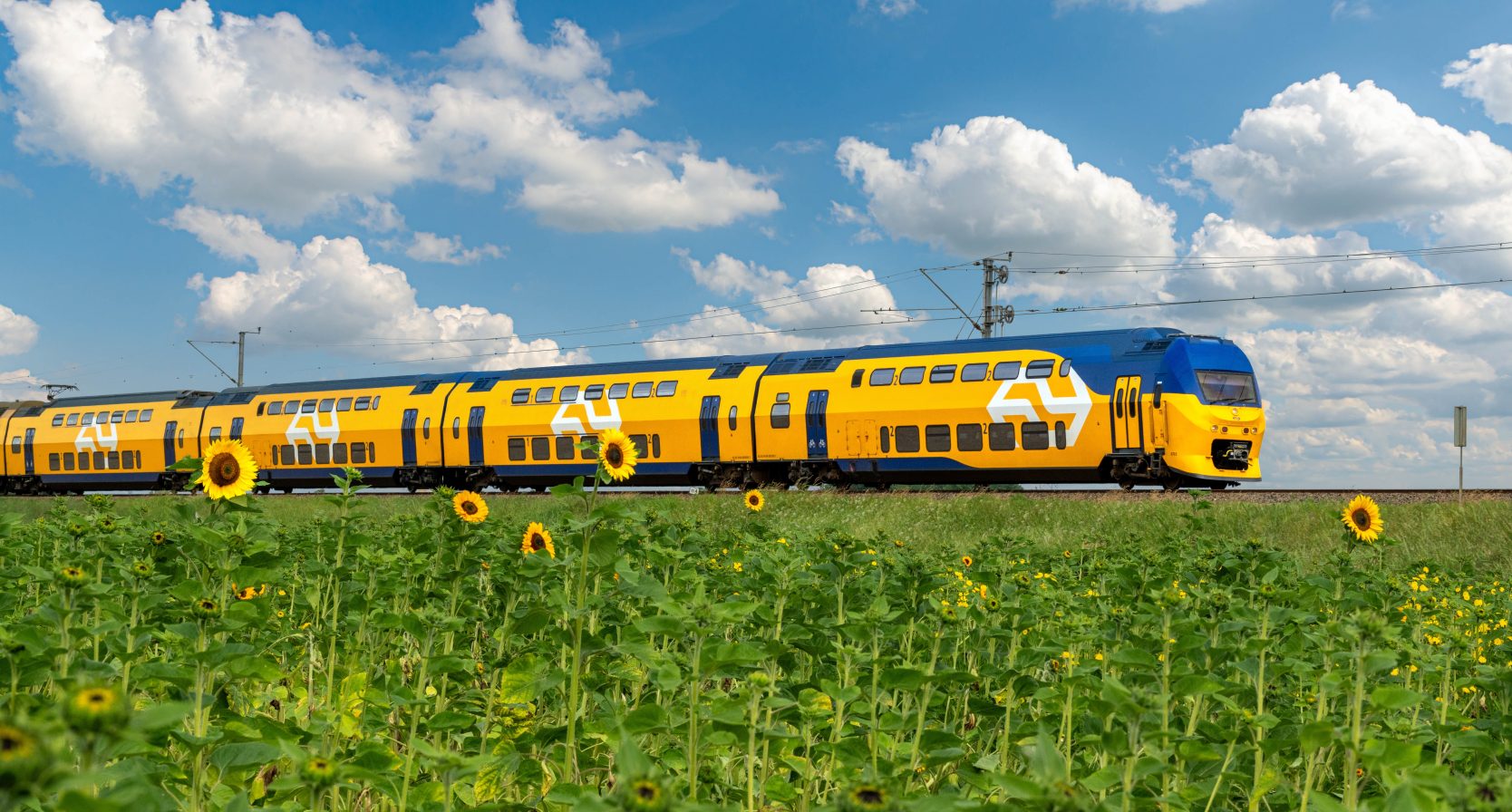 NS dalvrij