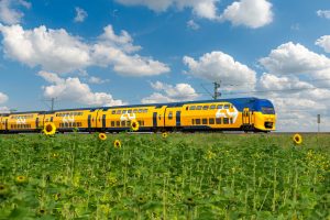 NS dalvrij