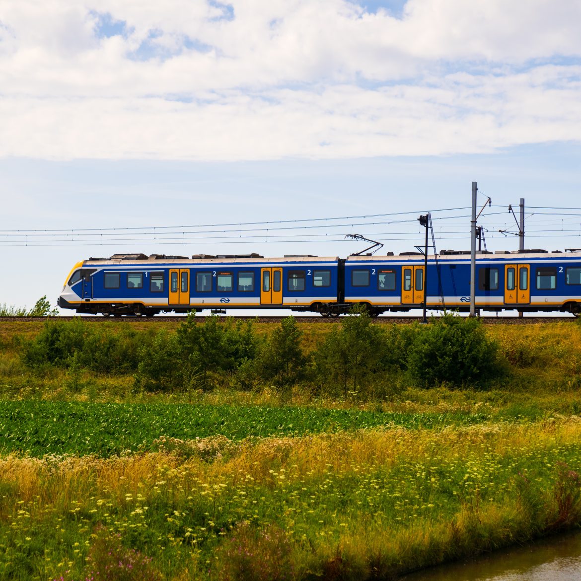 NS dalvrij